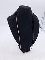 Full view of long sterling rope chain on display bust