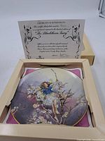 Plate in box with certificate displayed