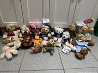 Group shot of all thirteen plush bears laid out on floor