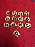 Front view showing 13 matching gold-tone Duke of Edinburgh Award pins arranged on red background