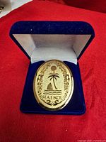 Medal seated in open blue velvet presentation box