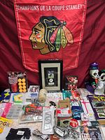 Overall lot showing banner, framed piece, books, skeleton décor and assorted items on table