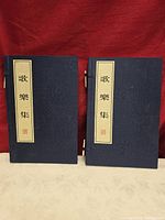 Front view of both books showing covers and title labels