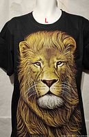 Front view showing lion graphic and overall condition