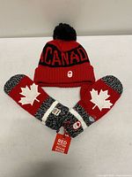 Hat and mittens laid out flat showing overall design and colors