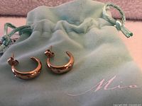 Front view of gold-tone hoop earrings beside Mia pouch