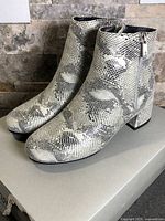 Pair of snakeskin print ankle boots on box, left side view