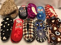 All ten pairs of assorted slippers displayed side by side