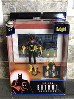 Front of sealed Batgirl figure package showing figure and accessories