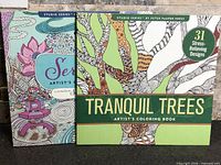 Front covers of both coloring books showing titles and artwork