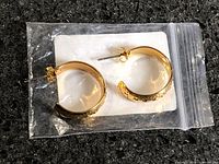 Both earrings in sealed plastic bag