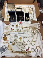 Overview of full jewelry lot laid out in box