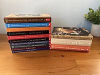 All 13 books stacked, showing spines and titles