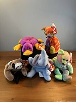 Group shot of all five Beanie Babies