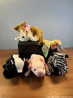 Group shot of five Beanie Babies on table