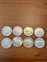 Eight silver 25-cent coins showing bobcat reverse