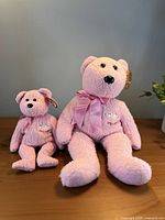 Both pink Ty bears side by side on tabletop