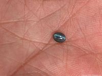 Cabochon gemstone on fingertip showing cat’s-eye effect