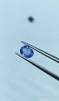 Oval light blue sapphire held by tweezers