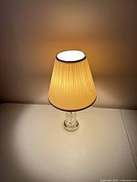 Lamp illuminated showing shade color and light output