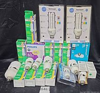 Group shot of all bulbs in lot