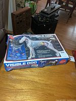 Top of box showing Visible Dog kit artwork and anatomy illustration