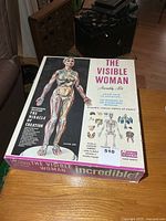 Front of box showing product title, artwork of assembled transparent figure and organ illustrations