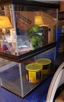 Two stacked glass aquariums with black trim; lids present; interior décor and yellow fish-food cans shown