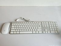 Overall view of mouse and wired keyboard together