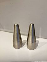 Front view of pair of conical stainless steel shakers