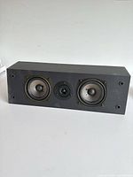 Front view showing two cone drivers and central tweeter