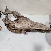 Top view of entire driftwood showing overall size and texture