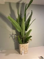 Full view of artificial plant in white wicker basket