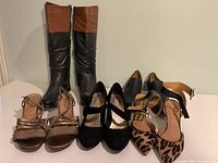 Front view of all five footwear pairs: tall boots, ankle boots, wedge sandals, Mary Jane heels, leopard pumps