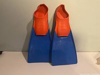 Front view of both fins showing color and overall condition