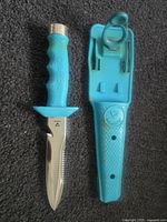 Knife and sheath full view