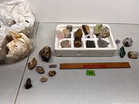 Overall view of tray, loose rocks and bagged samples