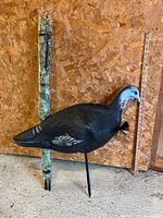 Foam turkey decoy standing beside rolled camouflage blind with poles visible
