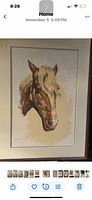 Framed horse portrait front view