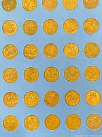 Overview of folder page showing grid of Canadian cents