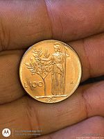 Reverse of 1981 L100 coin showing Minerva, olive tree, value, mint mark R, and date