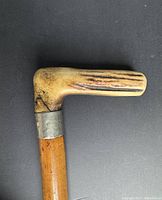 Close-up of horn handle, silver collar and wooden shaft