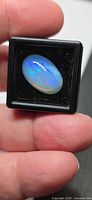 Front view of oval Ethiopian jelly opal in display box showing blue and green play-of-color