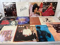 Overall view of 13 vinyl LPs laid out