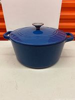 Pot with lid on, showing overall shape and color