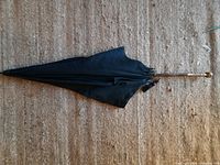 Full view of closed black Victorian umbrella