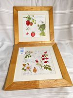 Both framed botanical prints shown opened to display artwork, frames, mats and glazing