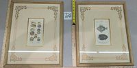 Front view of both framed prints with rulers indicating approx. 15×18 in dimensions