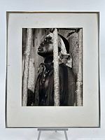 framed photograph overall view