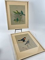 Both framed bird prints overall view